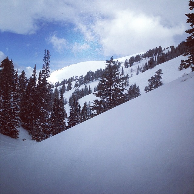 Loading Resort Image...